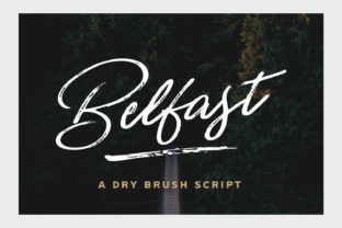 Belfast: A Unique Script Font for Digital Design