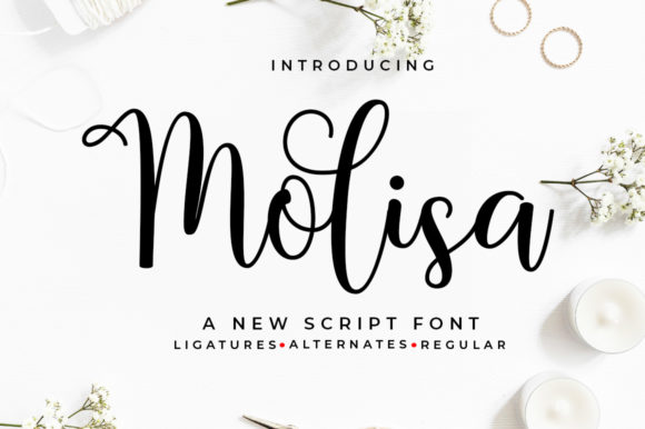 Discover Molisa: A Charming Script for Your Brand