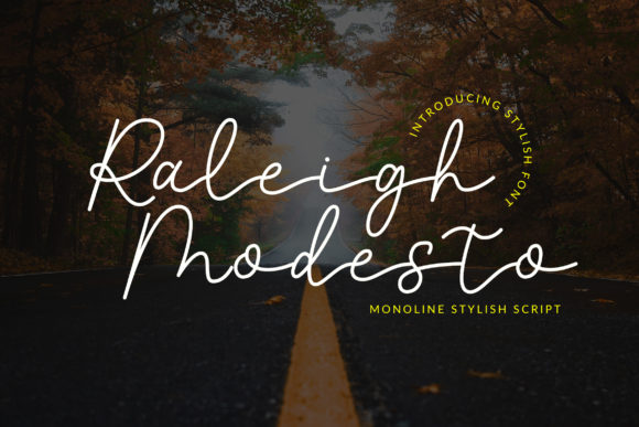 Enhance Your Craft with Raleigh Modesto Font