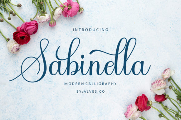 Enhance Your Web Design with Sabinella Font