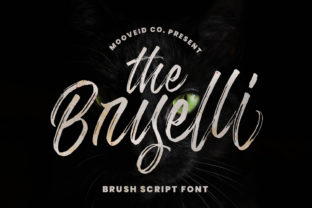Enhance Your Web Design with The Bryelli Font