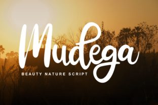 Introducing Mudega: A Playful Script for Bold Campaigns