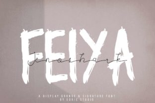 Jenoshark Feiya: A Versatile Script Font for Creative Branding