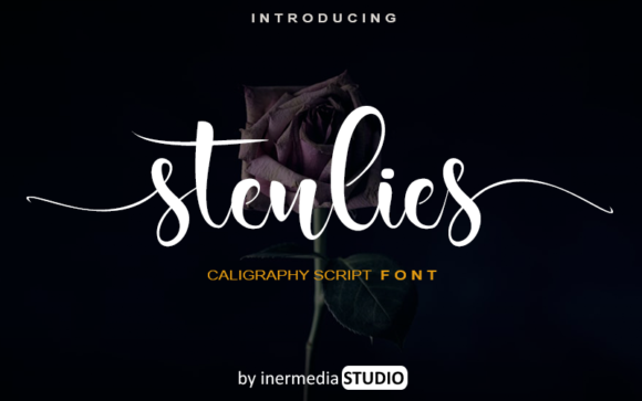 Stenlies: A Handwritten Font for Engaging Editorial Design
